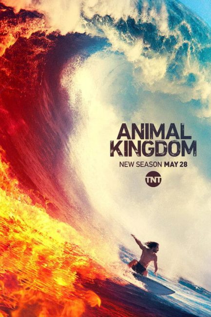 مسلسل Animal Kingdom الموسم الرابع الحلقة 4 مترجمة